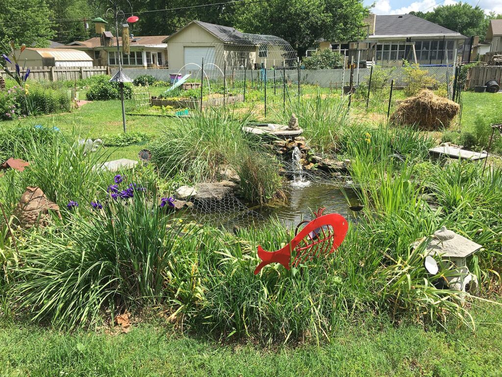 water feature, vegetable and flower gardens in a residential back yard